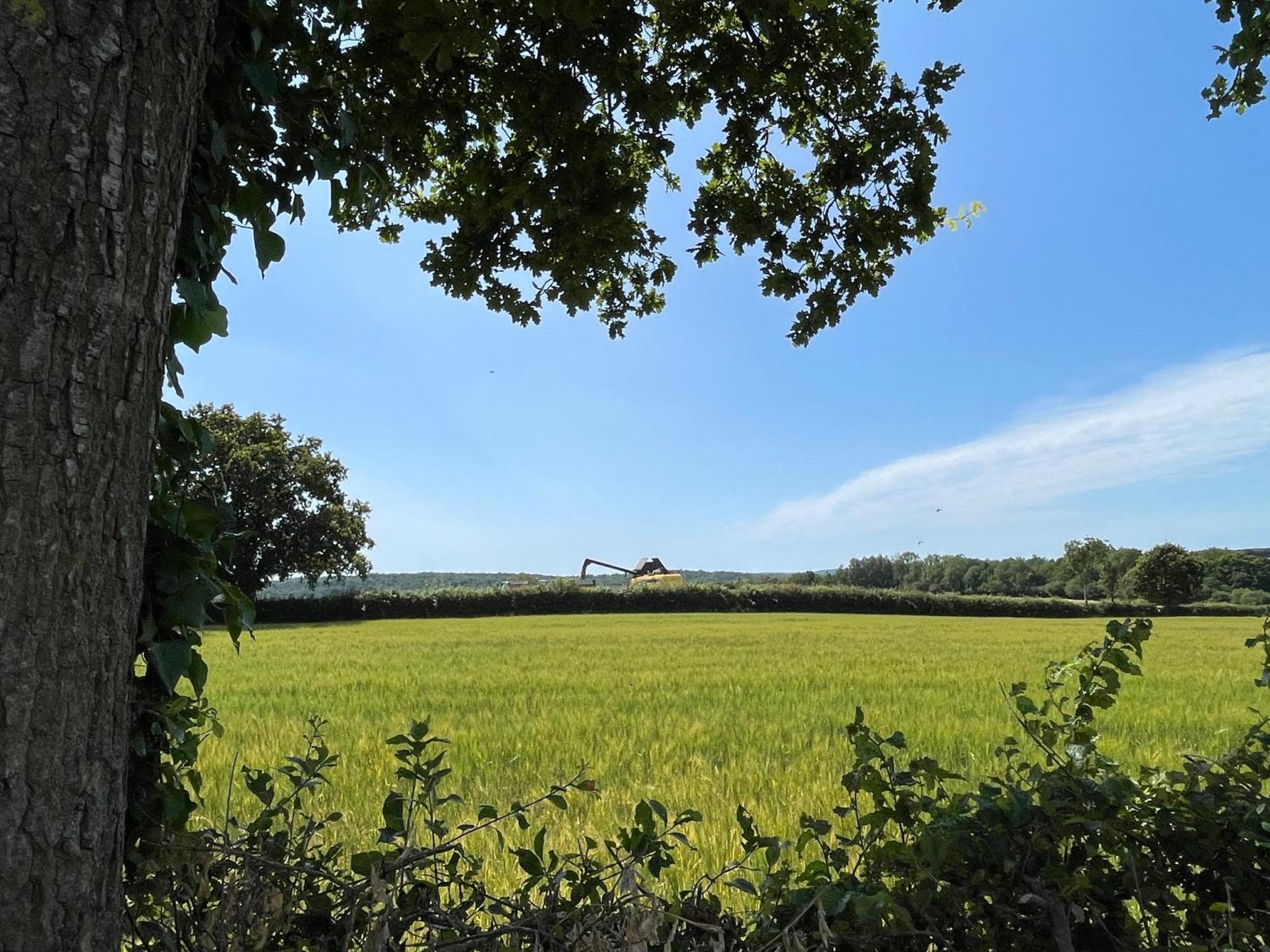 Gite Chez Line & Mon Bournonville Exterior foto